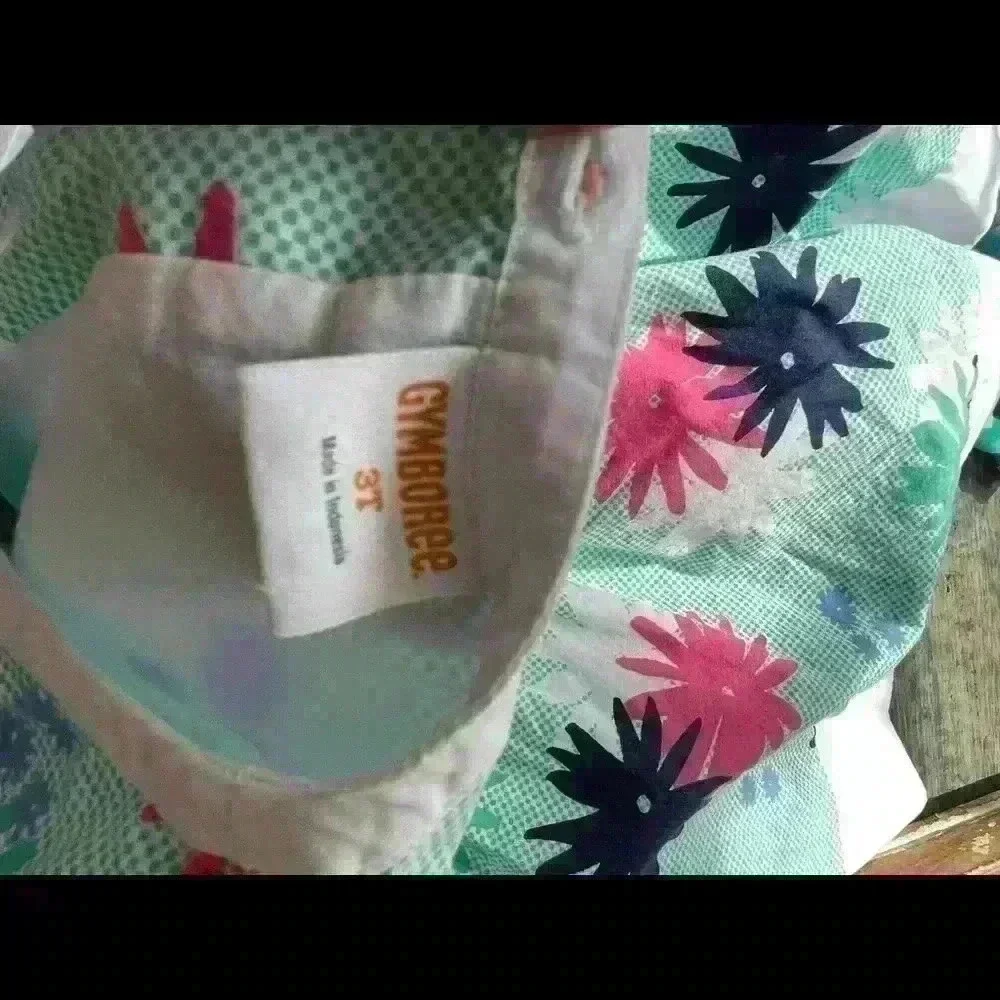 Gymboree Dress 3T